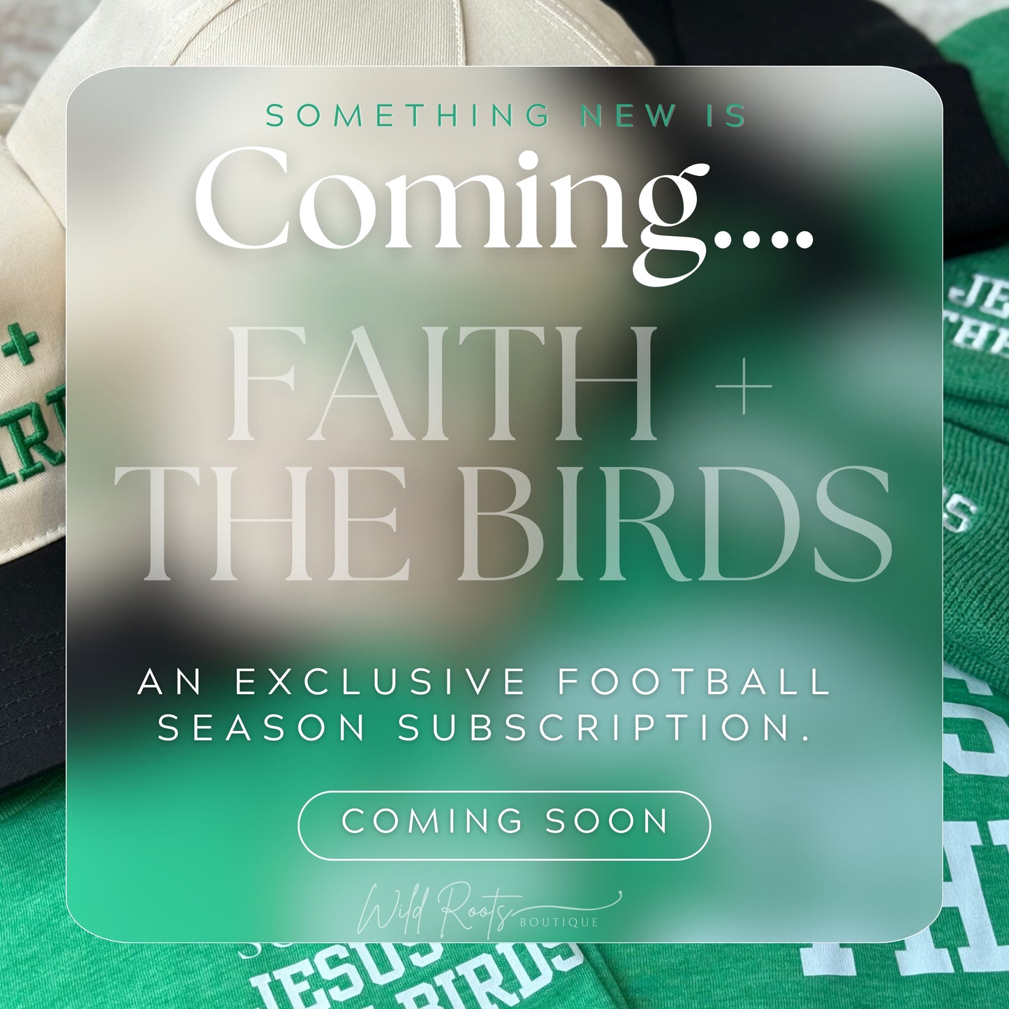 Faith + Birds Rooted Subscription box