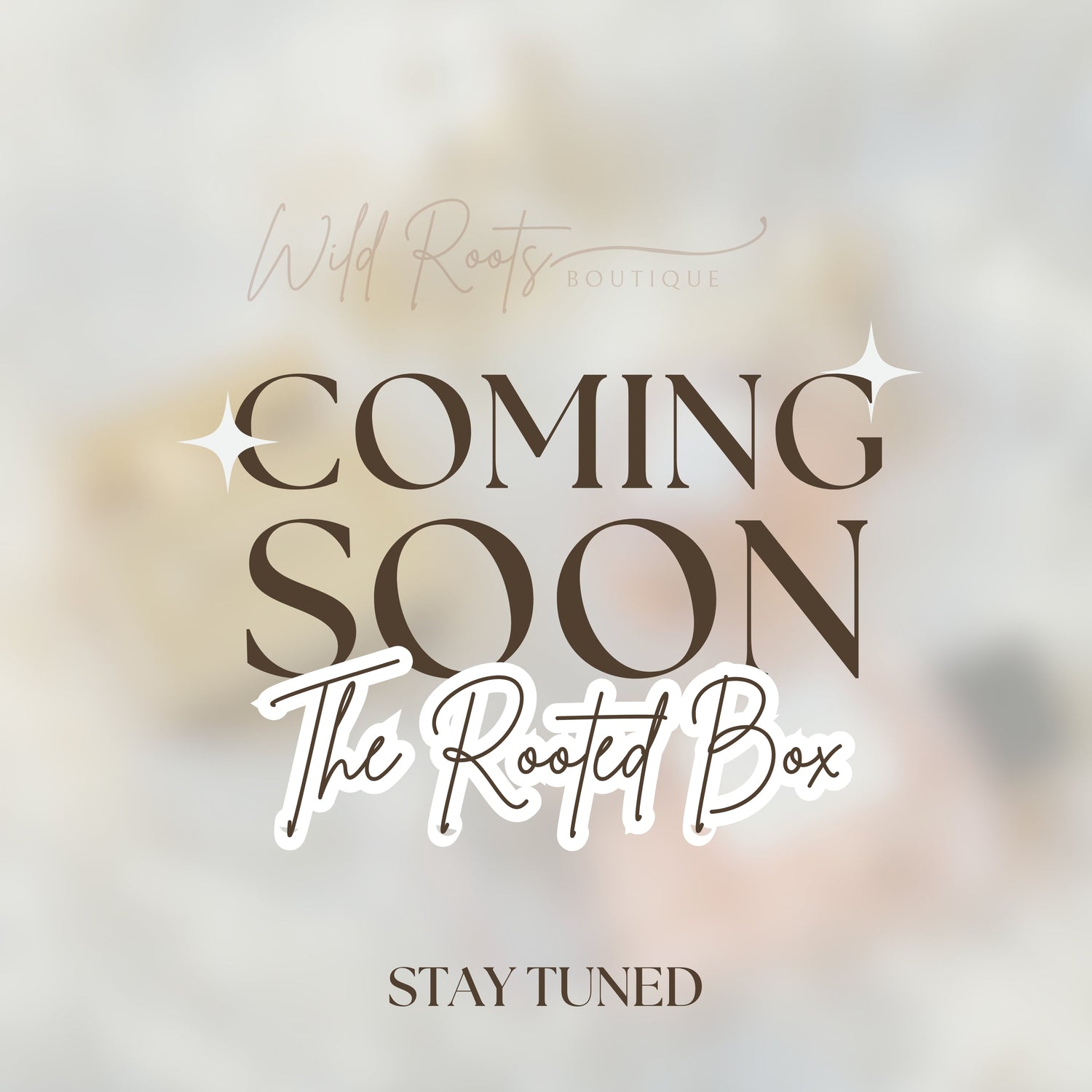 The Rooted Box- Coming SOON!