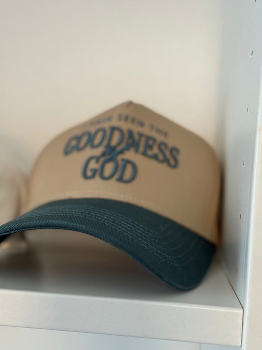 I have seen the goodness of GOD hat