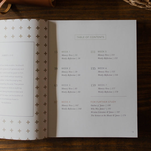 James | The Steadfast Life - Men