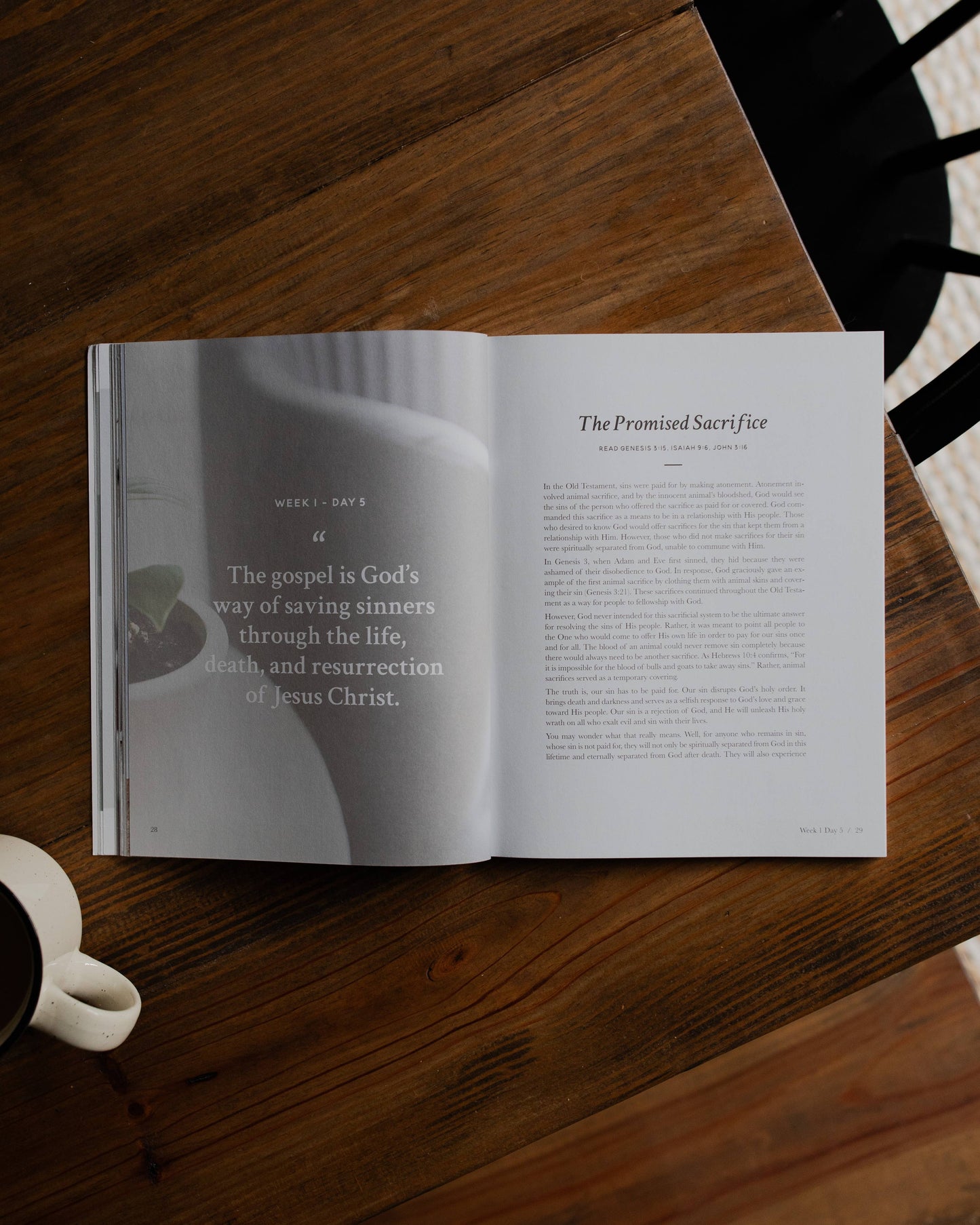 Faith Foundations | A Study on the Basics of Christianity - Men